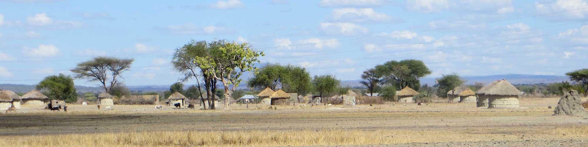 Greening Africa